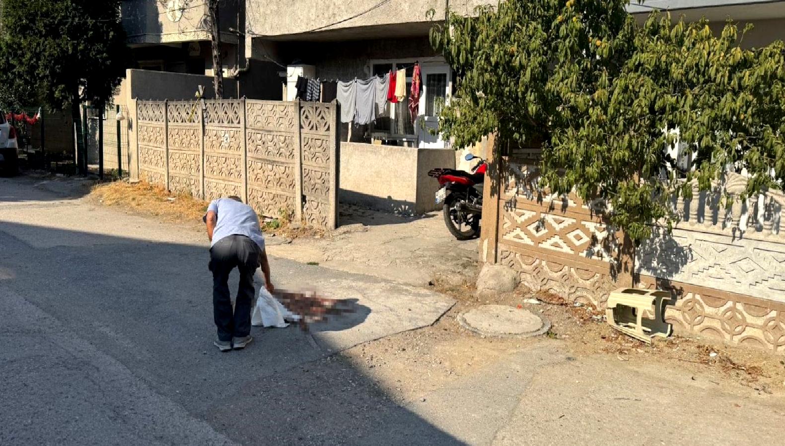 Erenler ilçesinde aile içi silahlı çatışma sonucu baba ağır yaralandı.