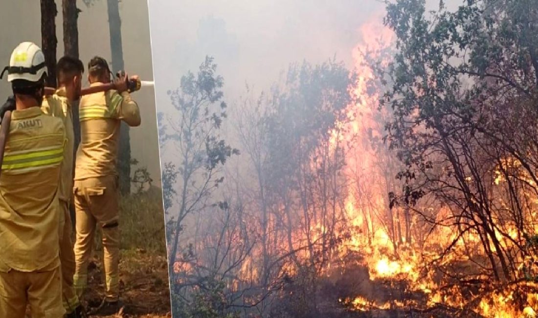Eskişehir’de Yıkıcı Yangın Faciası Eskişehir'de yıkıcı bir yangın felaketi yaşandı. Çok sayıda bina zarar