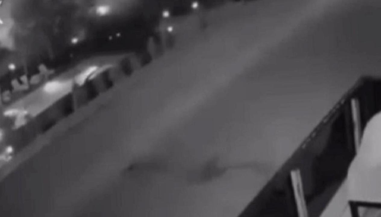 Havai fişek atarak yangın çıkaran 2 kişi, ceza olarak her