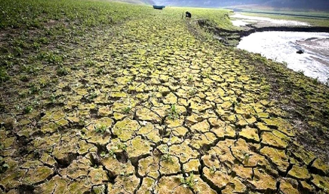 İklim krizinin kuraklık ve ekonomik etkileri üzerine detaylı analiz. Sürdürülebilir