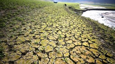 İklim krizinin kuraklık ve ekonomik etkileri üzerine detaylı analiz. Sürdürülebilir
