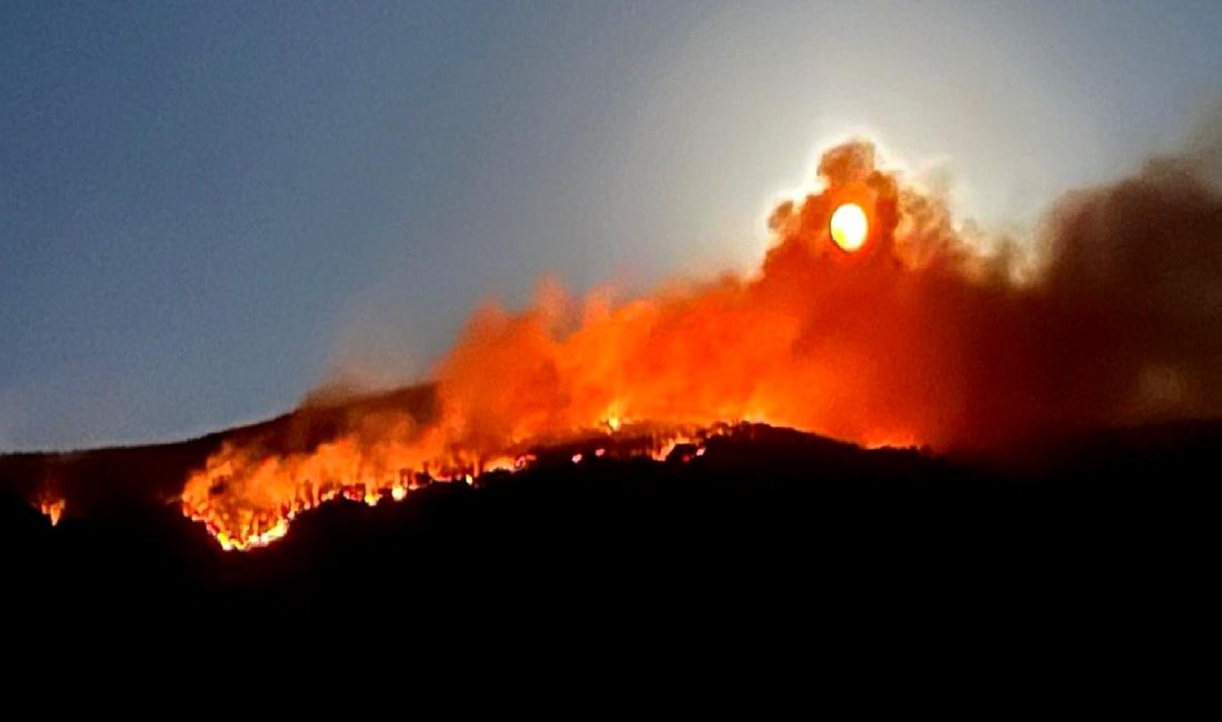 Ilgaz Dağı'ndaki orman yangını kontrol altına alınıyor. Ekipler bölgedeki soğutma