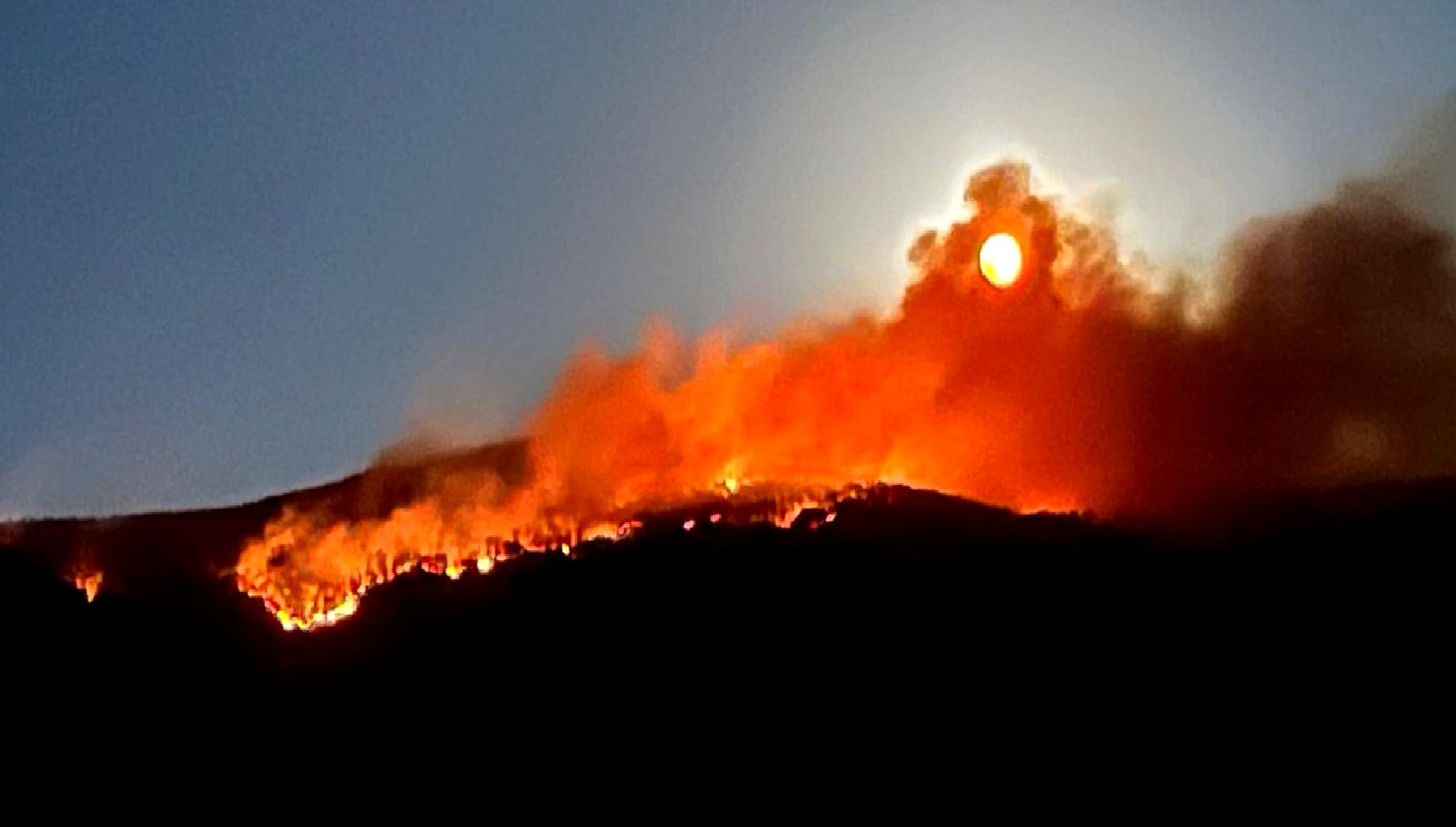 Ilgaz Dağı'ndaki orman yangını kontrol altına alınıyor. Ekipler bölgedeki soğutma
