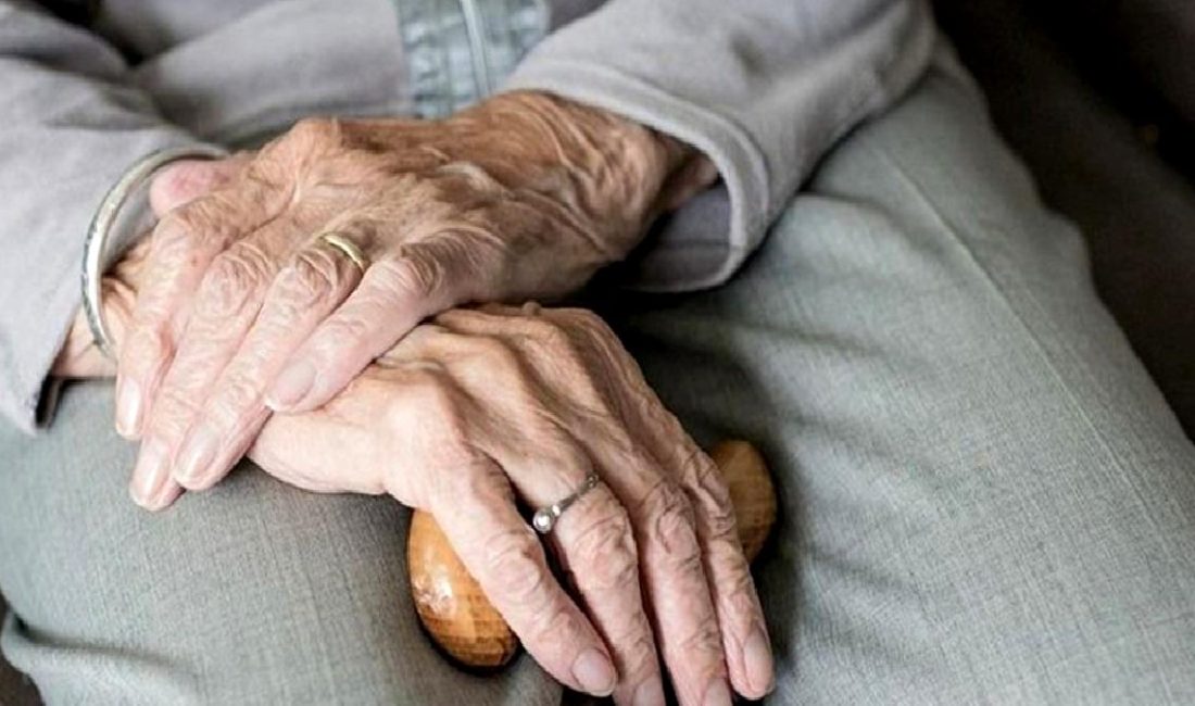 Japonya'da kiralık büyükanne hizmeti ile yalnızlığa son verin. Detaylar ve