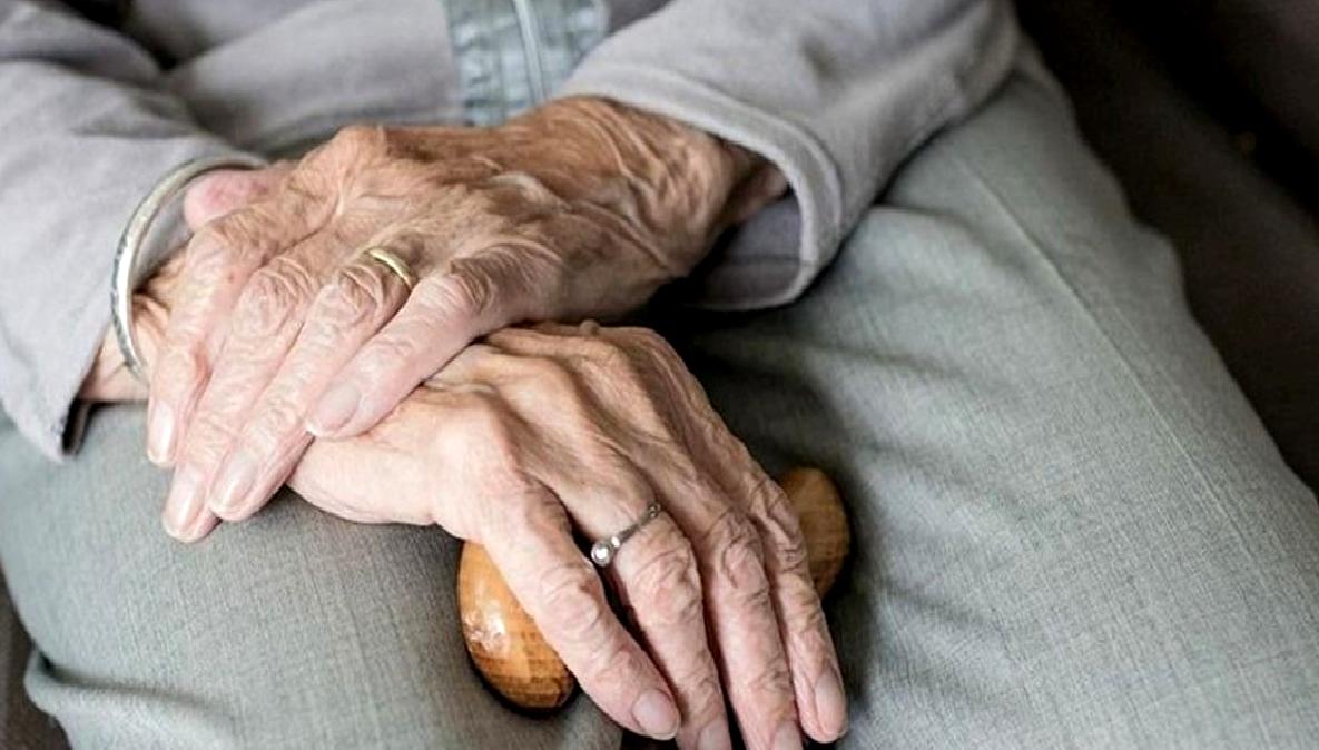 Japonya'da kiralık büyükanne hizmeti ile yalnızlığa son verin. Detaylar ve