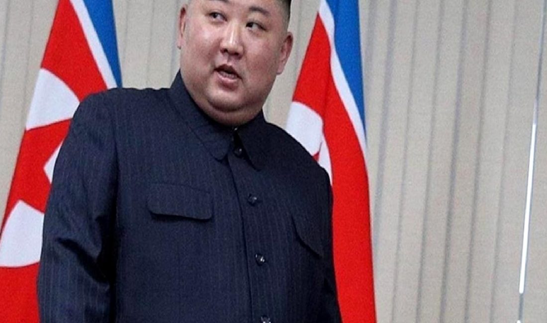 Kim Jong-un ve Sergey Lavrov'un görüşmesi, Kuzey Kore ile Rusya