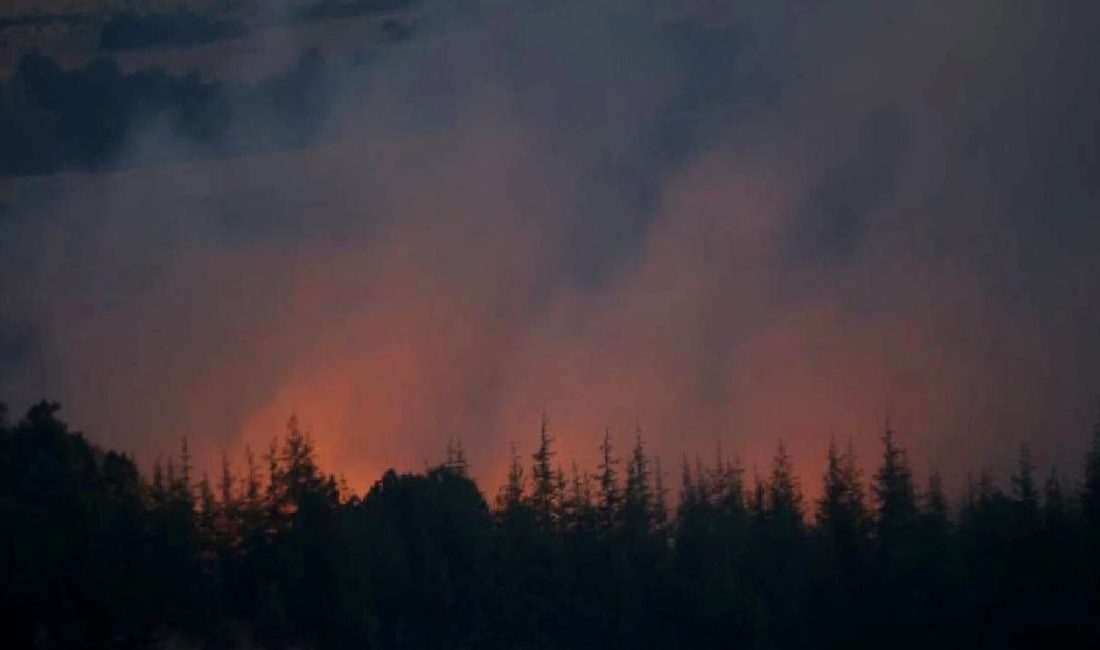 Kırklareli Kofçaz'da yangınla mücadele çalışmaları ve orman yangını müdahale detayları
