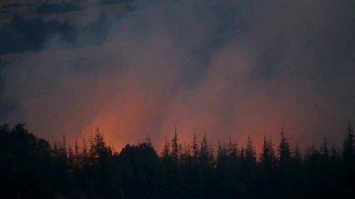 Kırklareli Kofçaz'da yangınla mücadele çalışmaları ve orman yangını müdahale detayları