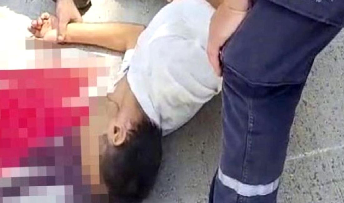 Kocaeli'de talihsiz bir kazada şoför hayatını kaybetti. Olayın detayları ve