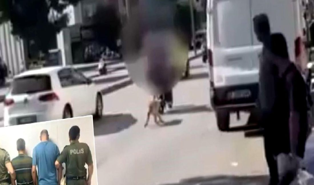Köpek istismarı vakasında şüpheliler yakalandı. Olayın detayları ve gelişmeleri haberimizde!