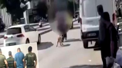 Köpek istismarı vakasında şüpheliler yakalandı. Olayın detayları ve gelişmeleri haberimizde!
