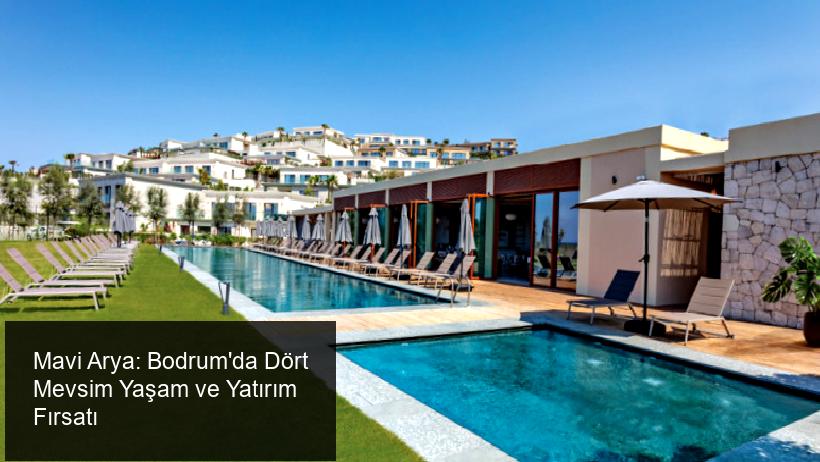 Mavi Arya: Bodrum'un Eşsiz Yaşam Vadisi