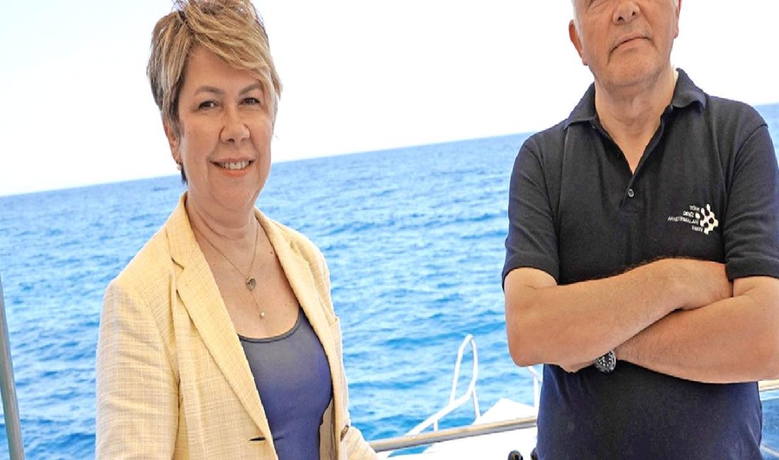 İş Bankası ve TÜDAV iş birliğiyle mercanlar korunacak. Deniz ekosistemini