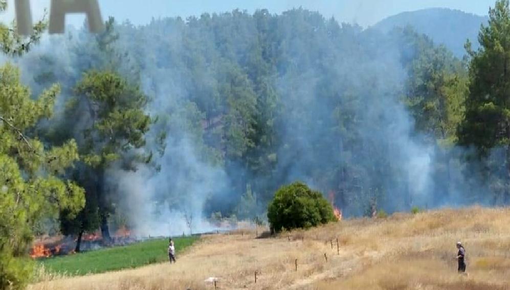 Muğla’da Otluk Alan Yangını Söndürüldü Muğla'da otluk alan yangını başarıyla söndürüldü. Yangınla ilgili detaylar ve