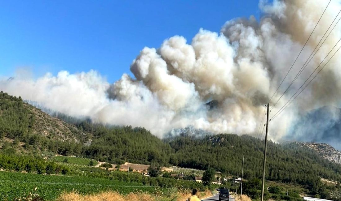 Orman Yangını Haberi Orman yangınları hakkında son haberler, müdahale çalışmaları ve etkileri. Detaylar