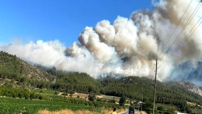 Orman yangınları hakkında son haberler, müdahale çalışmaları ve etkileri. Detaylar