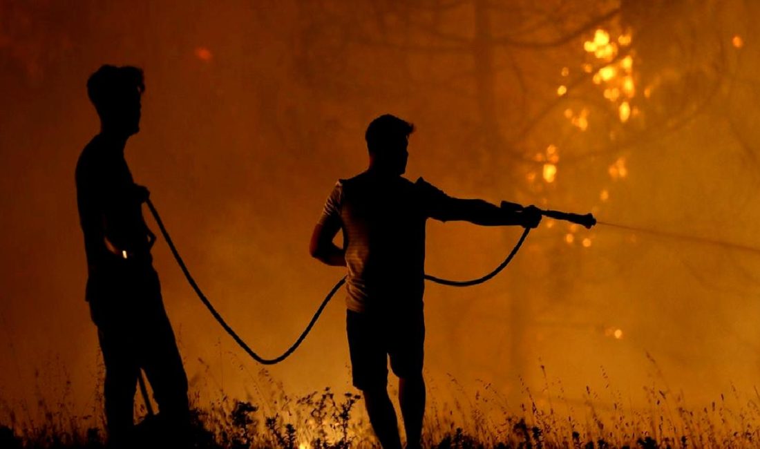 Türkiye'de orman yangınlarında 33 ilde 21 kişi tutuklandı. Yangınların sebepleri,