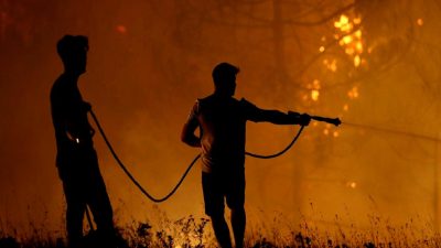 Türkiye'de orman yangınlarında 33 ilde 21 kişi tutuklandı. Yangınların sebepleri,