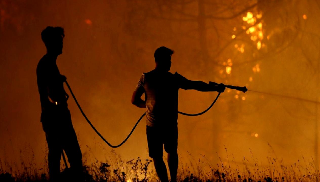 Türkiye'de orman yangınlarında 33 ilde 21 kişi tutuklandı. Yangınların sebepleri,