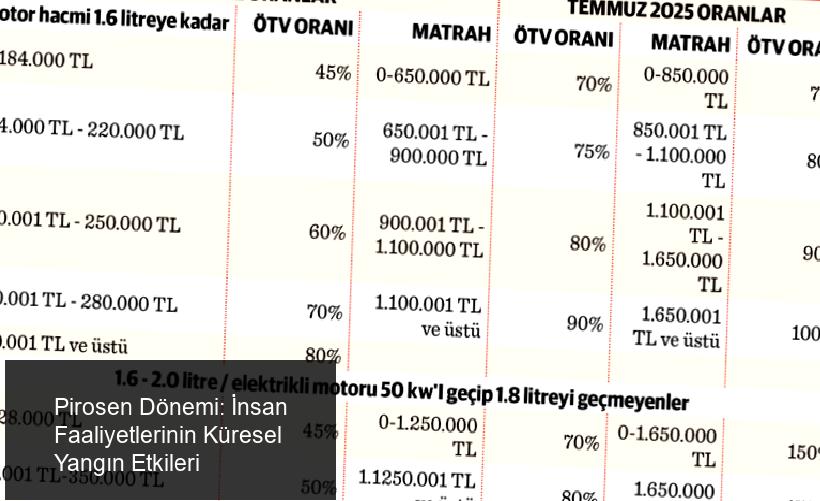 Son İki Yılda 3.9 Milyon Kilometrekare Ormanlık Alan Yandı