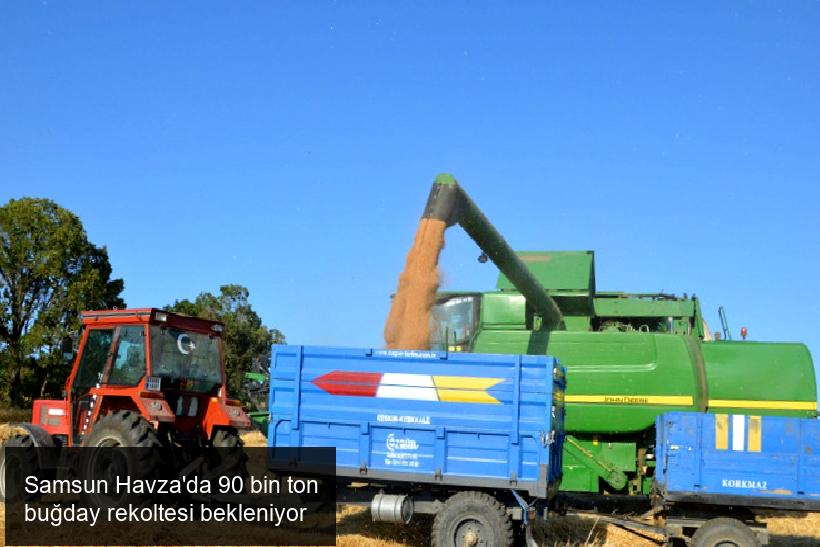 Samsun Havza'da 90 bin ton buğday rekoltesi bekleniyor