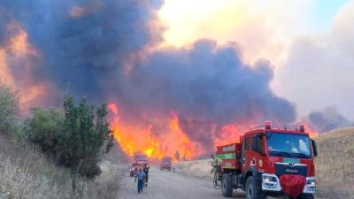 Şarköy'de orman yangınına hava ve kara müdahaleleri devam ediyor. Güncel