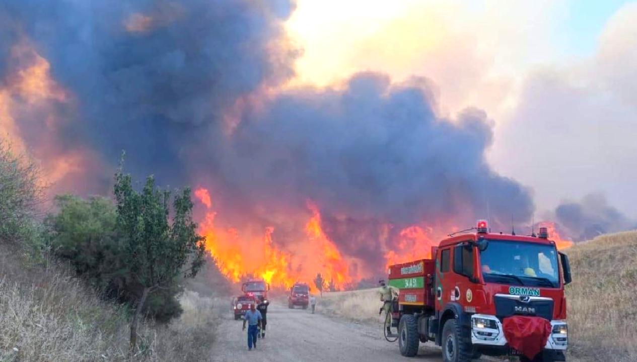 Şarköy'de orman yangınına hava ve kara müdahaleleri devam ediyor. Güncel