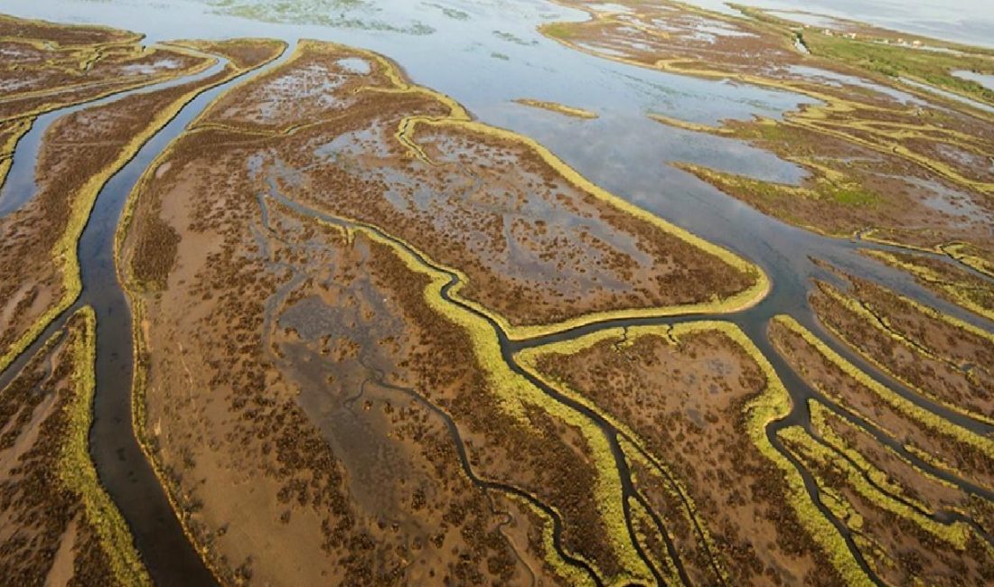 Sulak alanların durumu ve önemi hakkında güncel bilgiler ve raporlar.