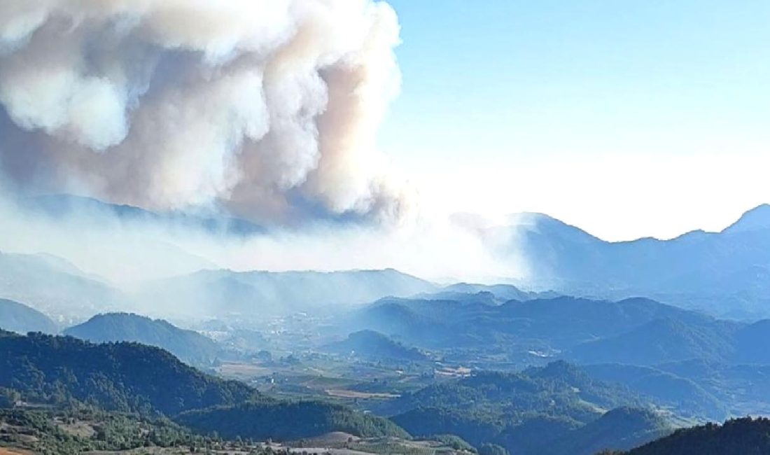 Suriye’nin Türkmendağı bölgesinde çıkan orman yangını Hatay’a sıçradı. Güncel gelişmeler