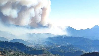 Suriye’nin Türkmendağı bölgesinde çıkan orman yangını Hatay’a sıçradı. Güncel gelişmeler