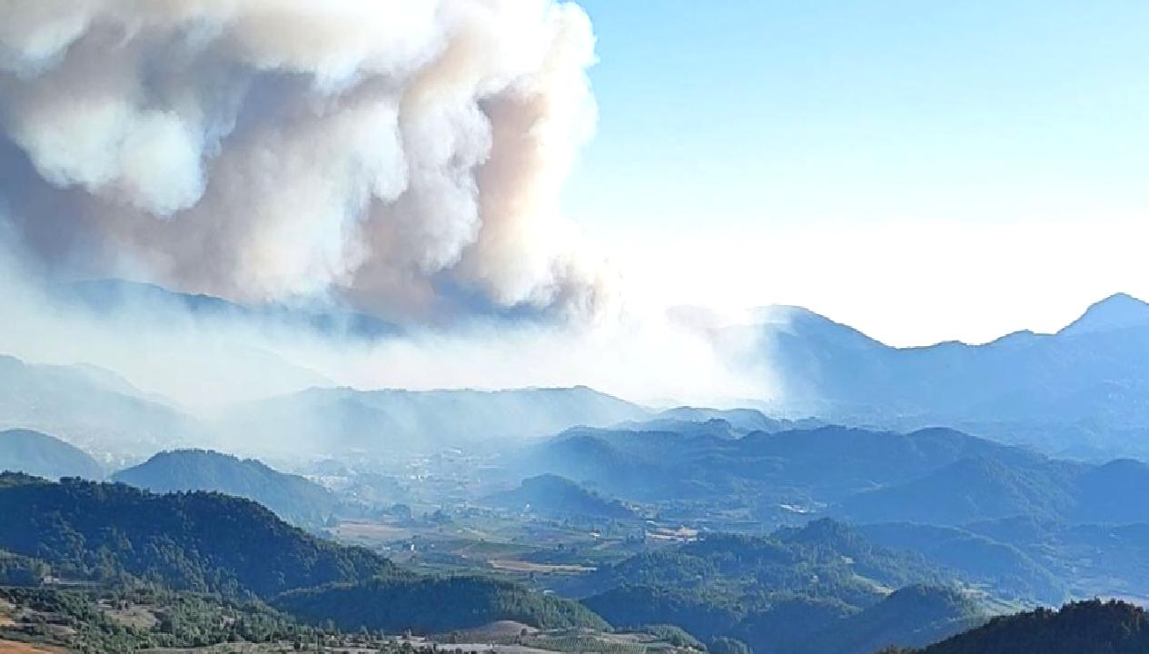 Suriye’nin Türkmendağı bölgesinde çıkan orman yangını Hatay’a sıçradı. Güncel gelişmeler