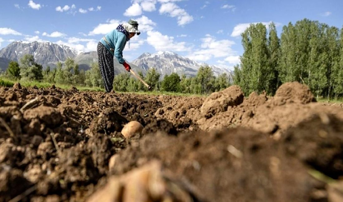 Tarım ve Orman Bakanı İbrahim Yumaklı’dan Tarım Sigortaları Açıklaması Tarım ve Orman Bakanı İbrahim Yumaklı'dan tarım sigortaları hakkında önemli