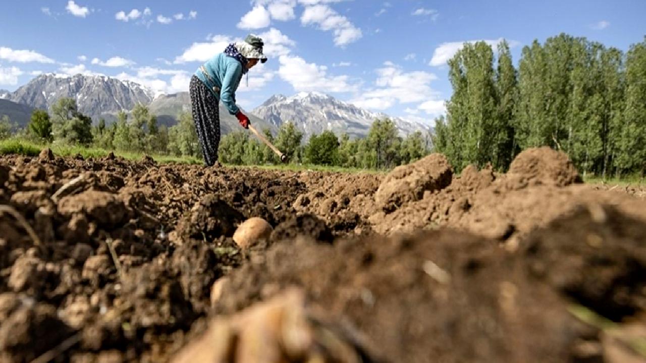 Tarım ve Orman Bakanı İbrahim Yumaklı'dan tarım sigortaları hakkında önemli