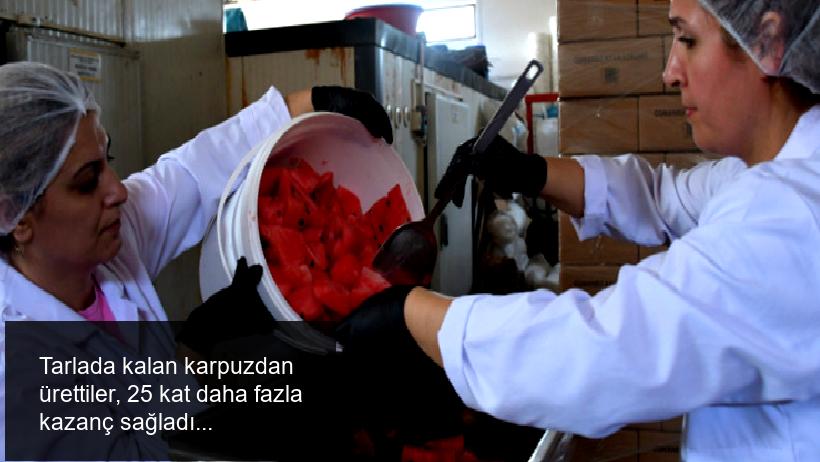 Tarlada kalan karpuzdan ürettiler, 25 kat daha fazla kazanç sağladılar