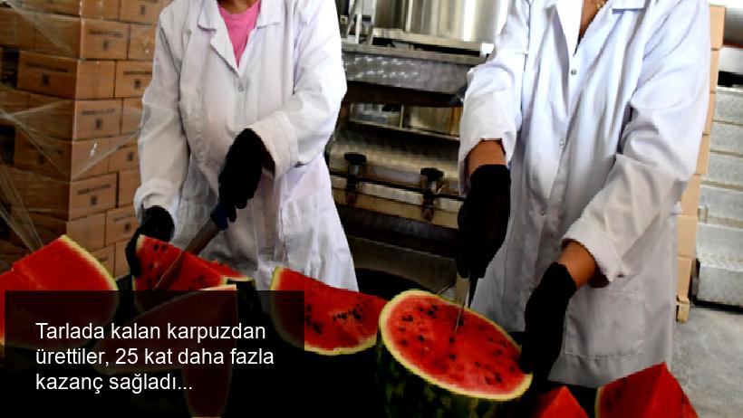 Tarlada kalan karpuzdan ürettiler, 25 kat daha fazla kazanç sağladılar