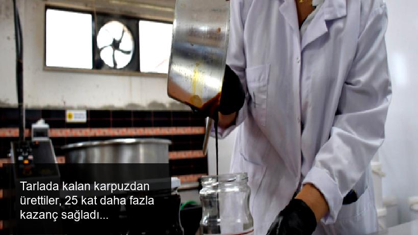 Tarlada kalan karpuzdan ürettiler, 25 kat daha fazla kazanç sağladılar