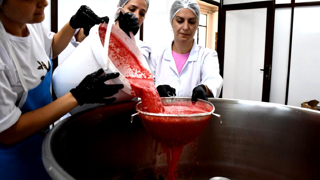 Tarlada kalan karpuzlardan yeni ürünler üreterek 25 kat fazla kazanç