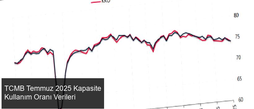 TCMB Temmuz 2025 İmalat Sanayi Kapasite Kullanım Oranı