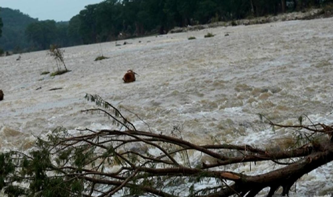Teksas'ta şiddetli seller ve artan kayıplar, bölgeyi etkiliyor. Güncel gelişmeleri