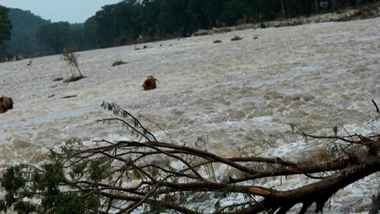 Teksas'ta şiddetli seller ve artan kayıplar, bölgeyi etkiliyor. Güncel gelişmeleri