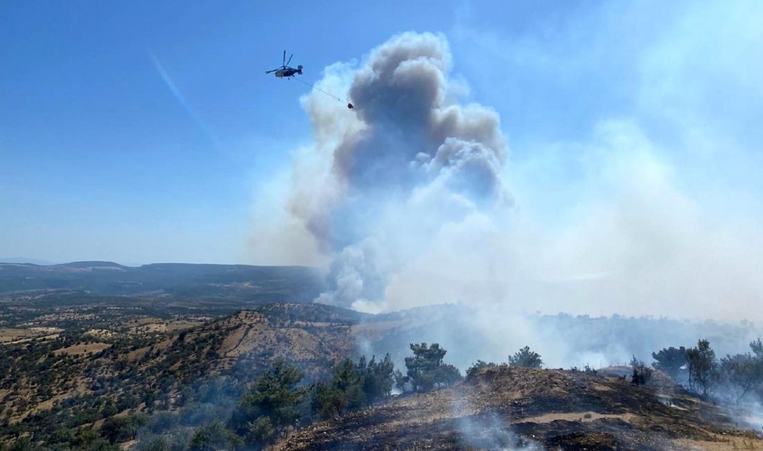 Tomorrowland Festivali’nde Büyük Yangın Felaketi Tomorrowland Festivali'nde büyük bir yangın felaketi yaşandı. Detaylar ve son