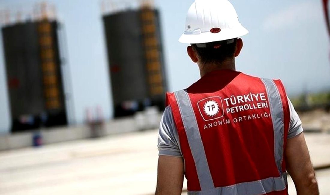 TPAO, petrol arama ruhsatı süresinin uzatılması için başvuruda bulundu. Detaylar