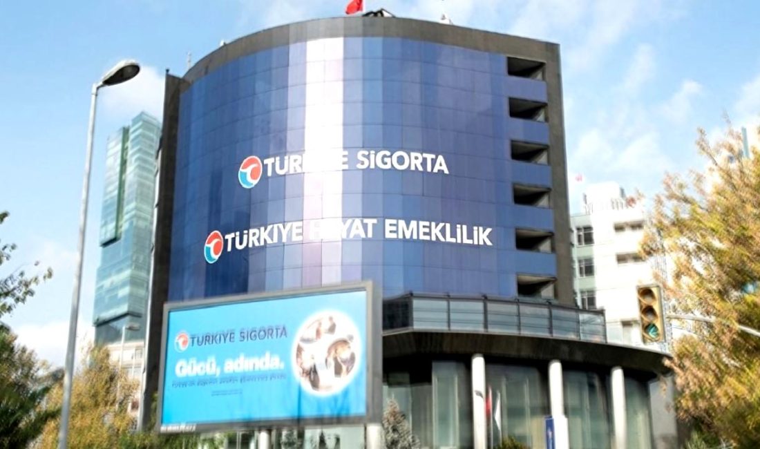 Türkiye Sigorta ve Türkiye Hayat Emeklilik'in yarı yıl performansını keşfedin:
