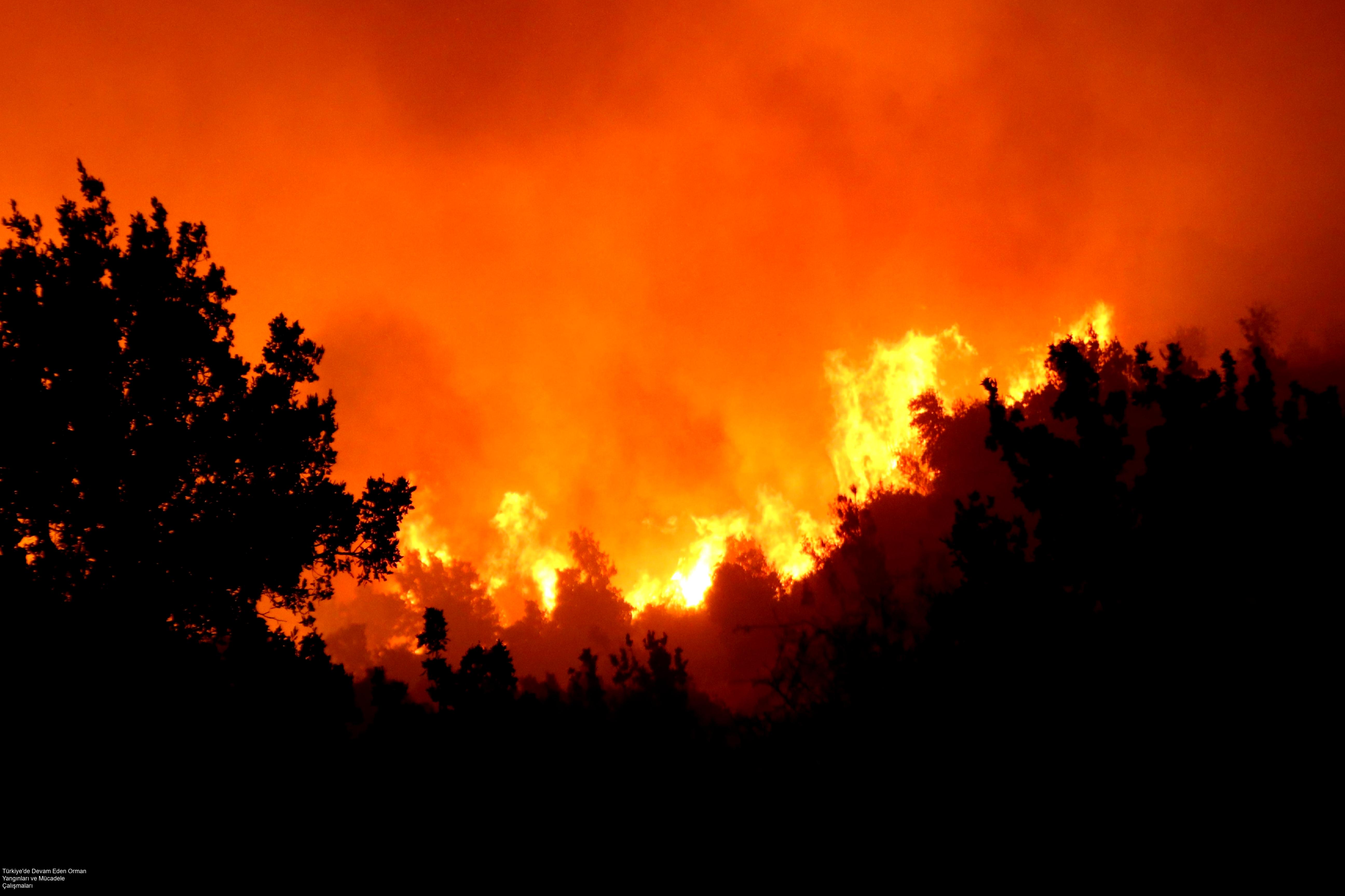 Türkiye'nin farklı bölgelerinde çıkan orman yangınlarıyla mücadele sürüyor