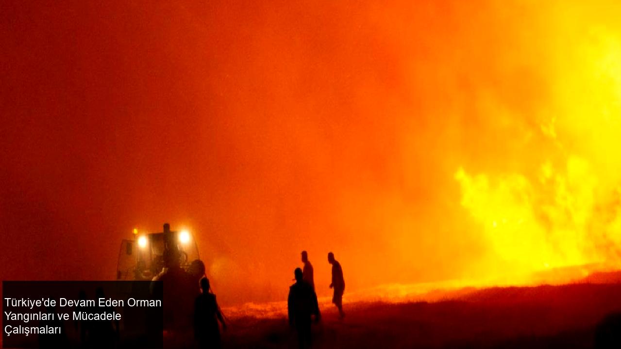 Çanakkale Ayvacık ve Tekirdağ Şarköy'deki yangınlar sürüyor