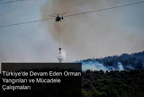 Gözaltına alınan genç ve yangınların nedenleri