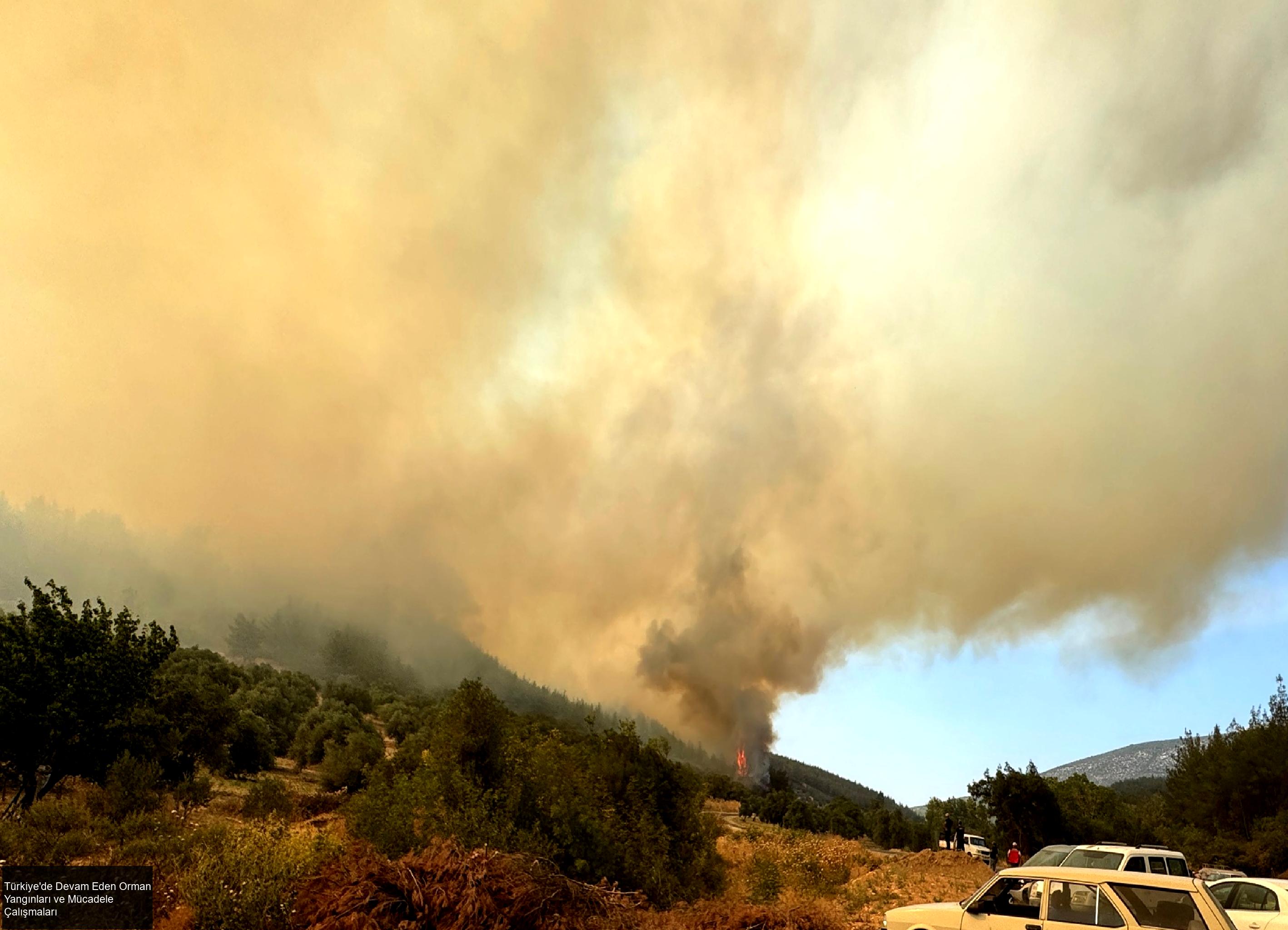 Türkiye'de Devam Eden Orman Yangınları ve Mücadele Çalışmaları