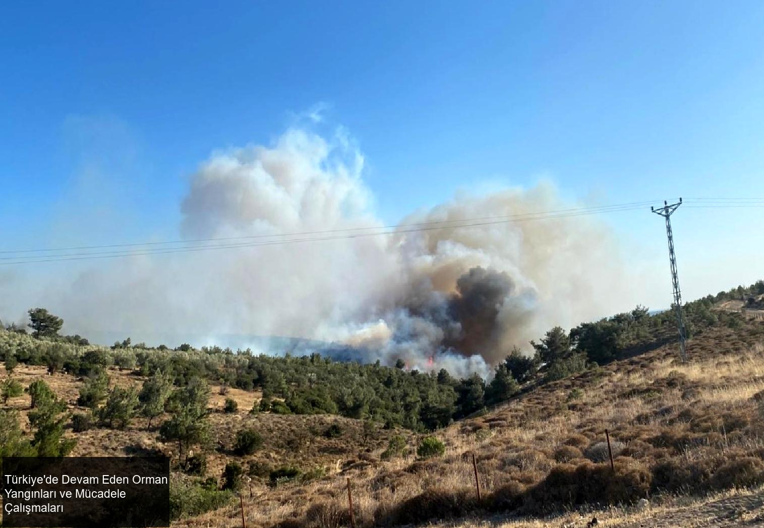 Türkiye'de Devam Eden Orman Yangınları ve Mücadele Çalışmaları