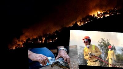 Türkiye'de orman yangınlarının güncel durumu ve mücadele yöntemleri hakkında detaylı