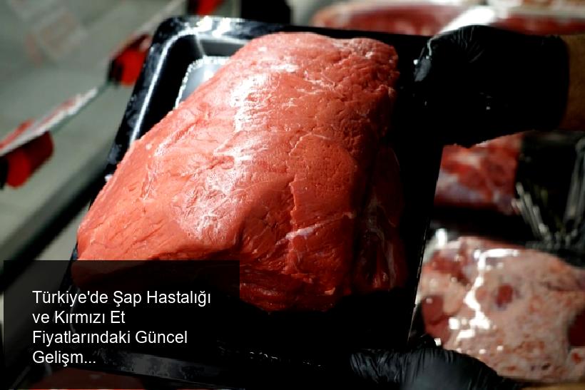 Türkiye'de Şap Hastalığının Etkisiyle Kırmızı Et Fiyatlarındaki Düşüş